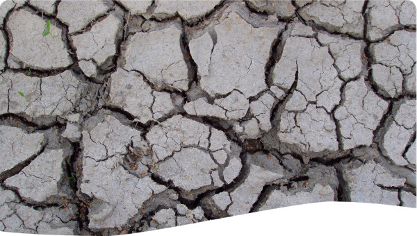 Integrated drought management plans