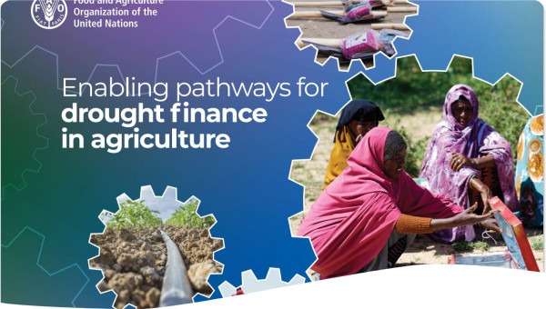 Enabling pathways for drought finance in agriculture